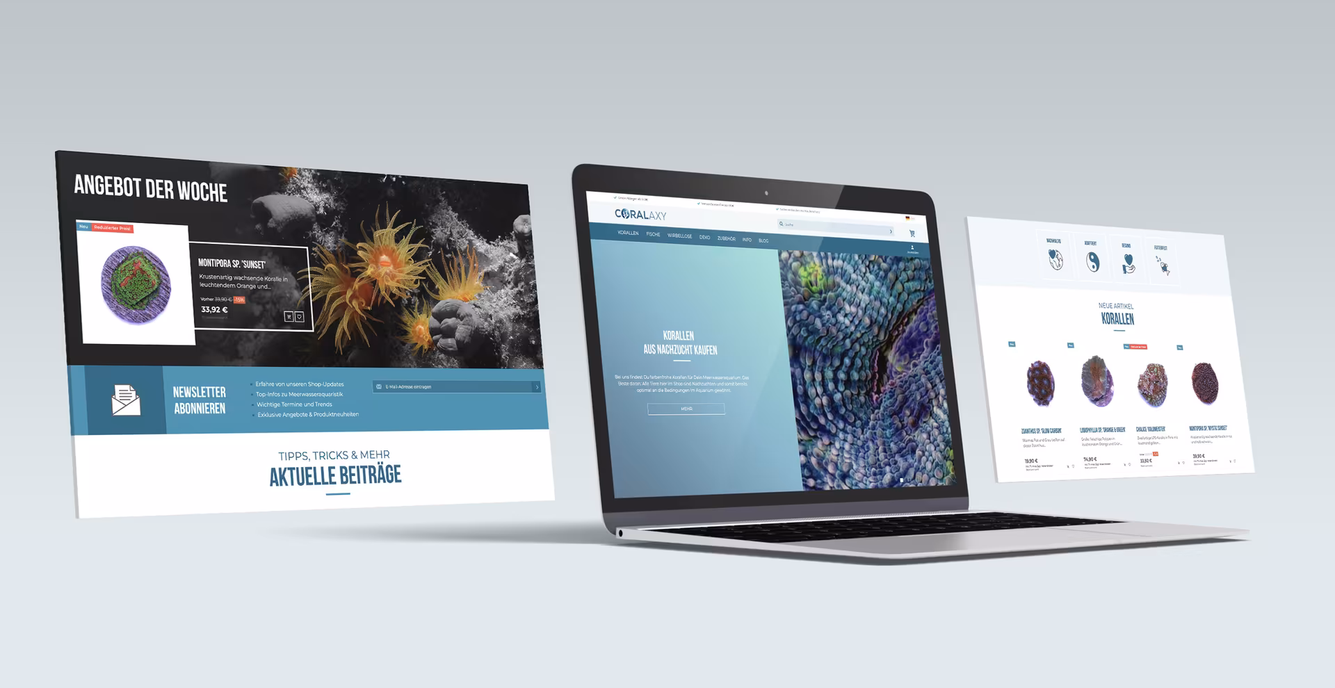 Bild von digital-agentur-kompetenz-entwicklung-websites-portal-coralaxy.