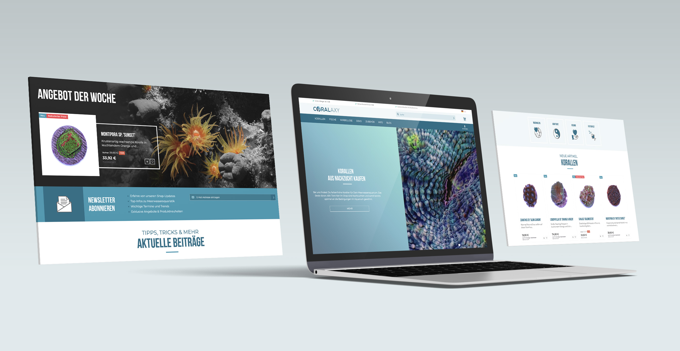 Bild von digital-agentur-kompetenz-entwicklung-websites-portal-coralaxy.