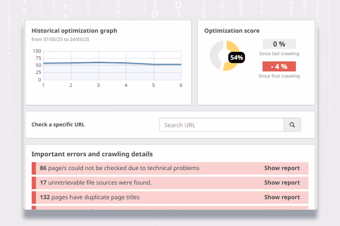 SEO Audit Dashboard - typische Website-Fehler und Optimierungsbedarf bei Kundenanfrage