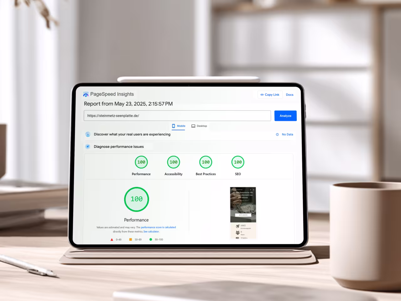 PageSpeed Insights zeigt perfekte 100 Punkte für steinmetz-seenplatte.de in allen Kategorien Performance, Accessibility, Best Practices und SEO nach Technical SEO Optimierung durch 4eck Media