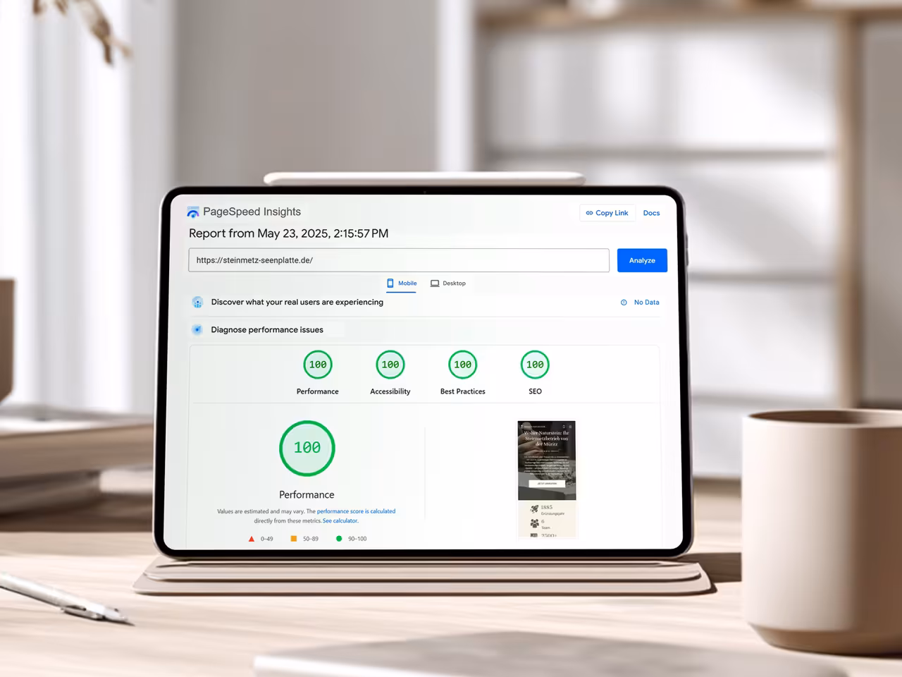 PageSpeed Insights zeigt perfekte 100 Punkte für steinmetz-seenplatte.de in allen Kategorien Performance, Accessibility, Best Practices und SEO nach Technical SEO Optimierung durch 4eck Media