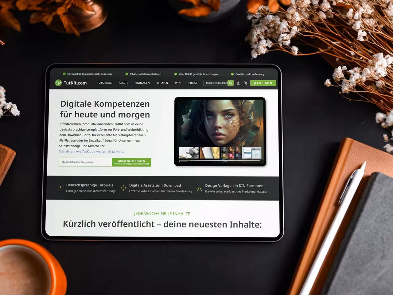 SEO Agentur Schwerin - TutKit Website-Design und SEO-Optimierung durch 4eck Media