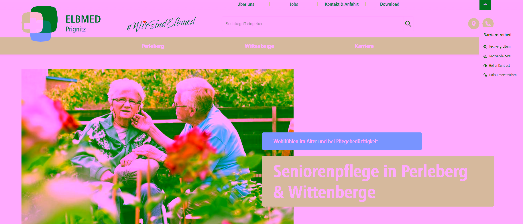Plugin in use for accessibility