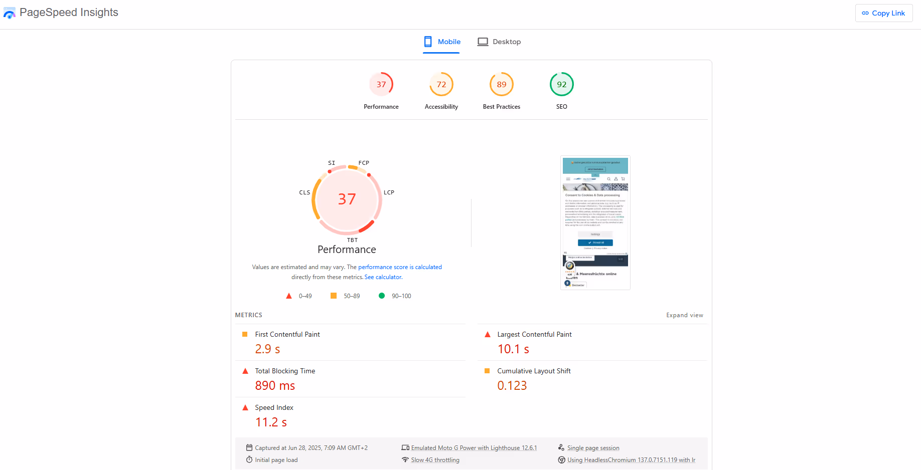 PageSpeed von Deutsche See Shop