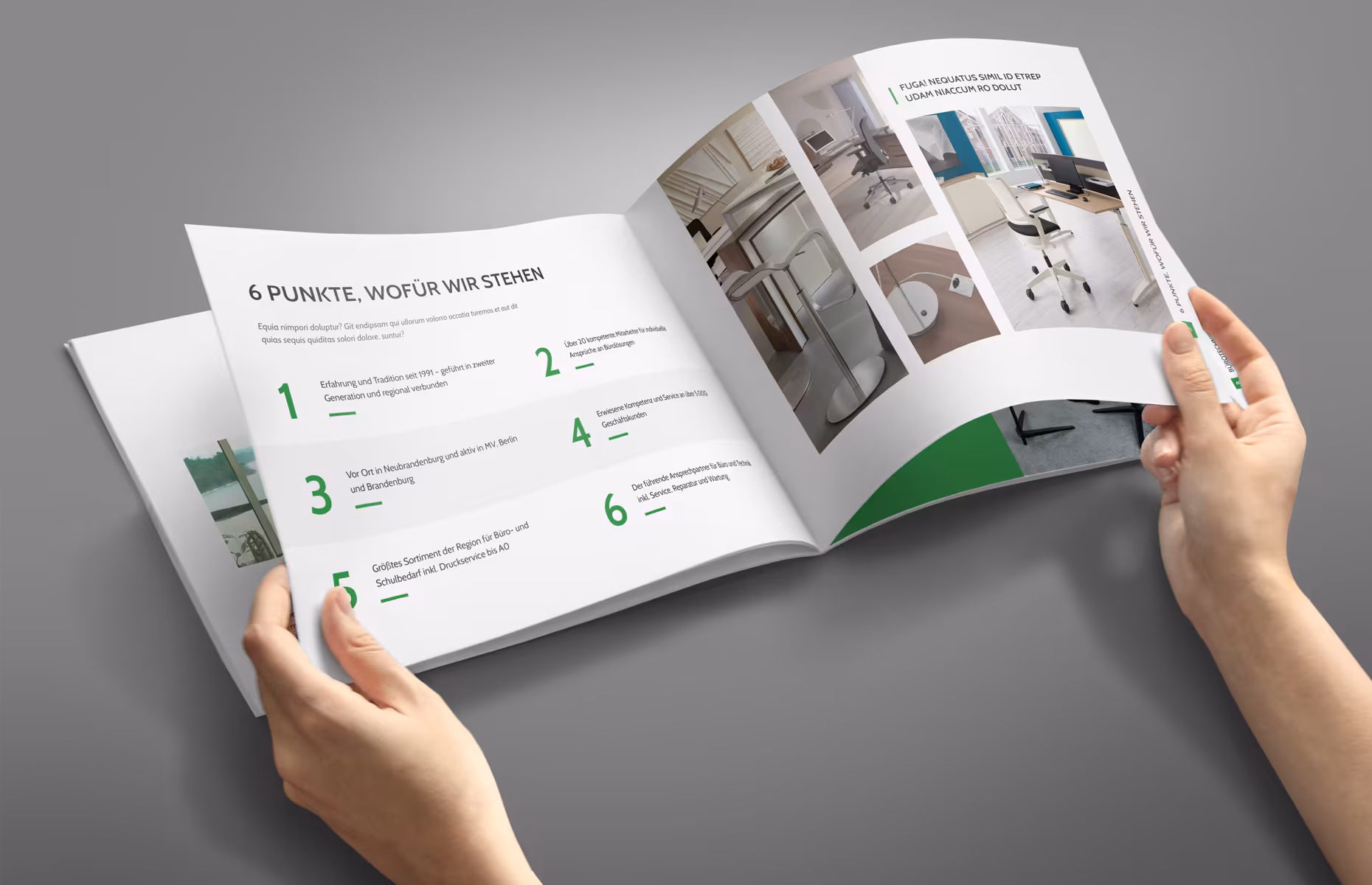 Mandt Image Brochure