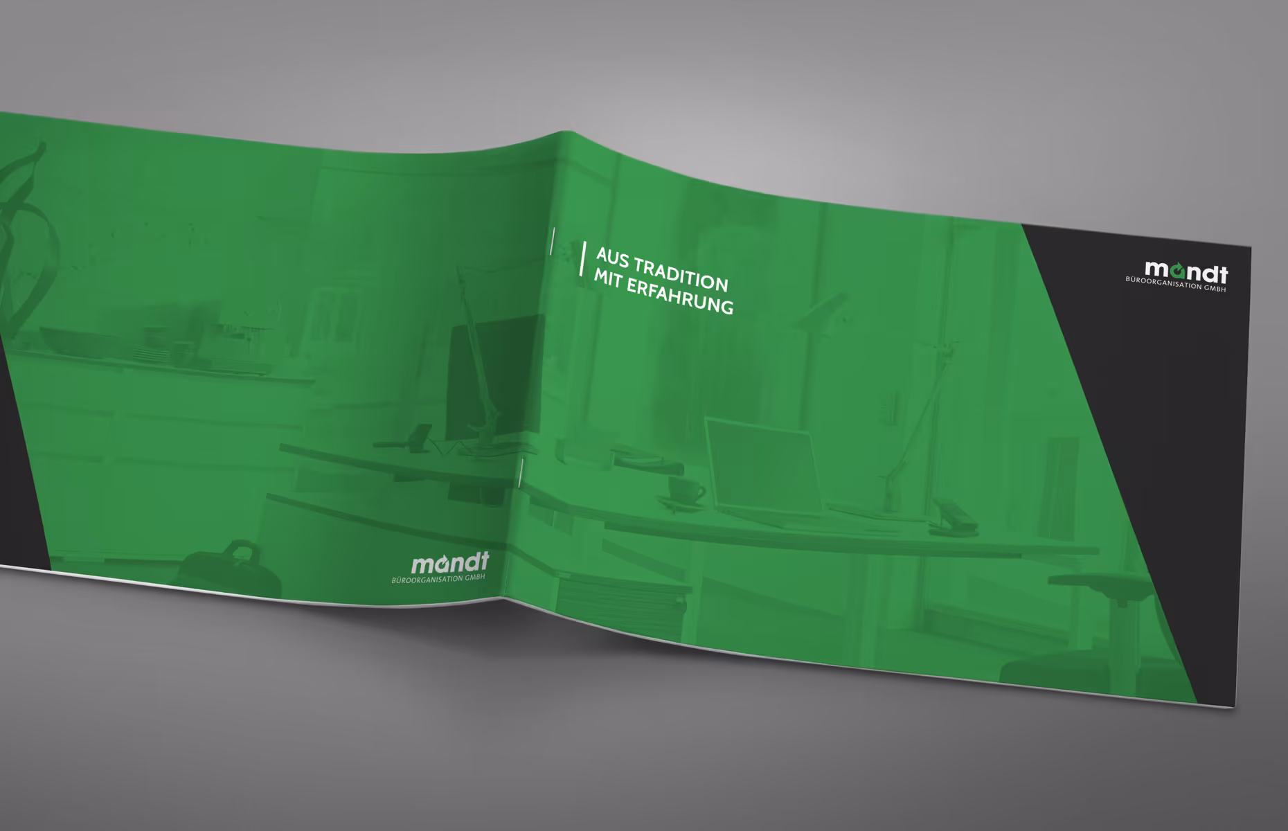 Mandt Image Brochure